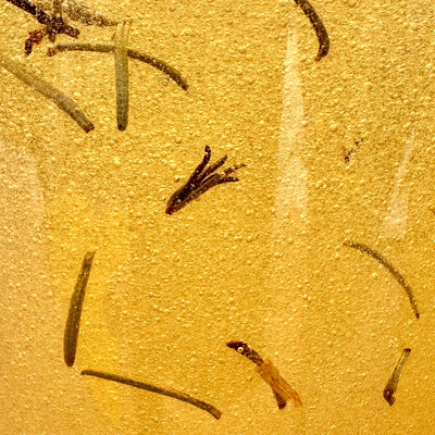 TRATAMIENTO ANTI-CAÍDA 1: shampoo romero + bálsamo romero + peine activador