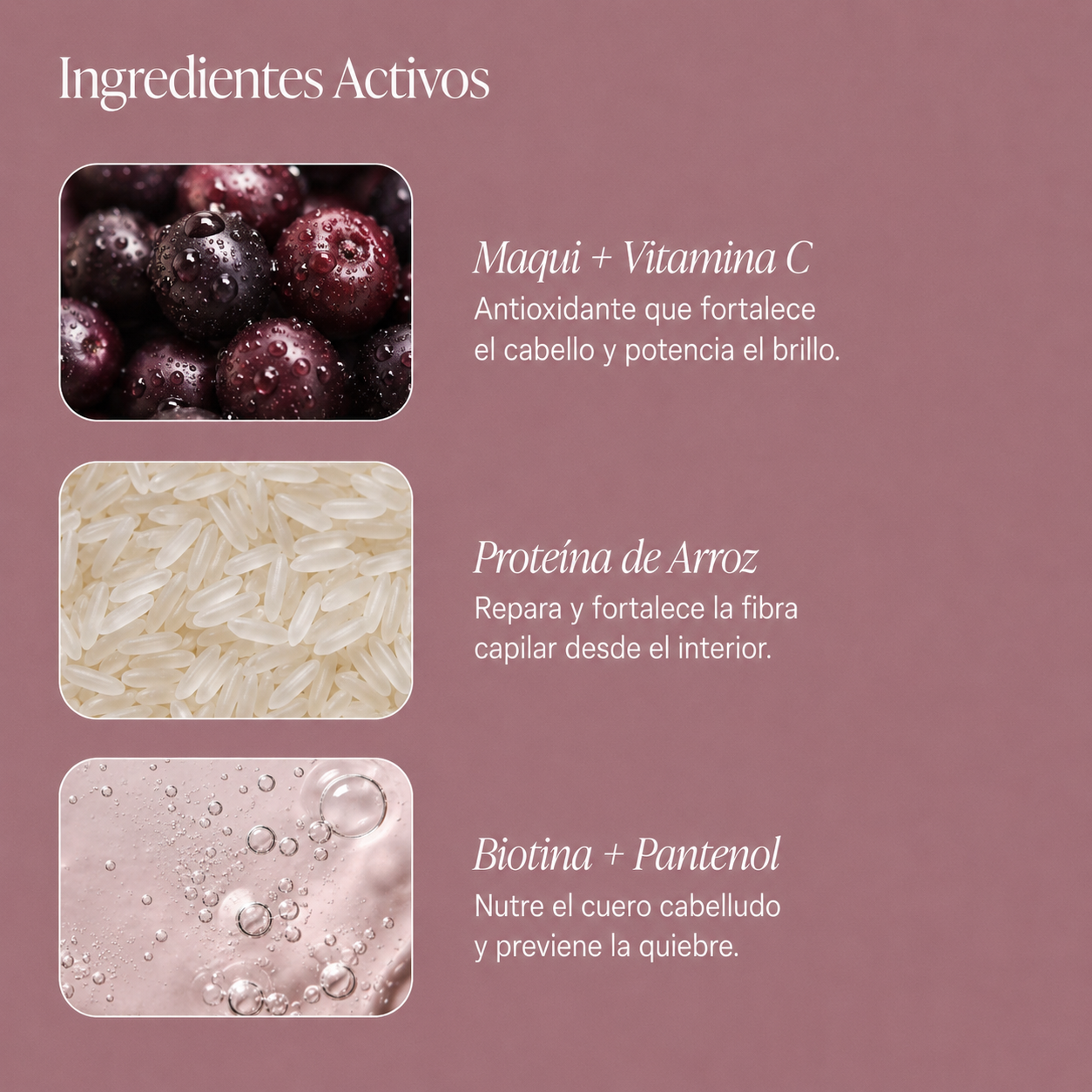 Shampoo Crecimiento Anti-quiebre Maqui + Vitamina C + Biotina + Panthenol