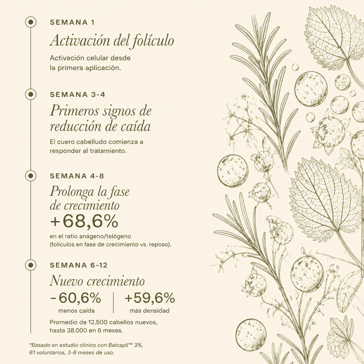 Booster Anti-Caída Baicapil 3,1% + Romero y Ortiga