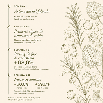 Booster Anti-Caída Baicapil 3,1% + Romero y Ortiga