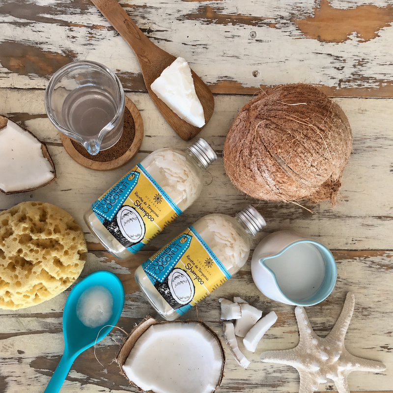 NUEVO Shampoo Summer&Coconut cabellos crespos o frizz (copia)