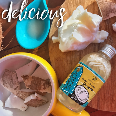 NUEVO Shampoo Summer&Coconut cabellos crespos o frizz (copia)