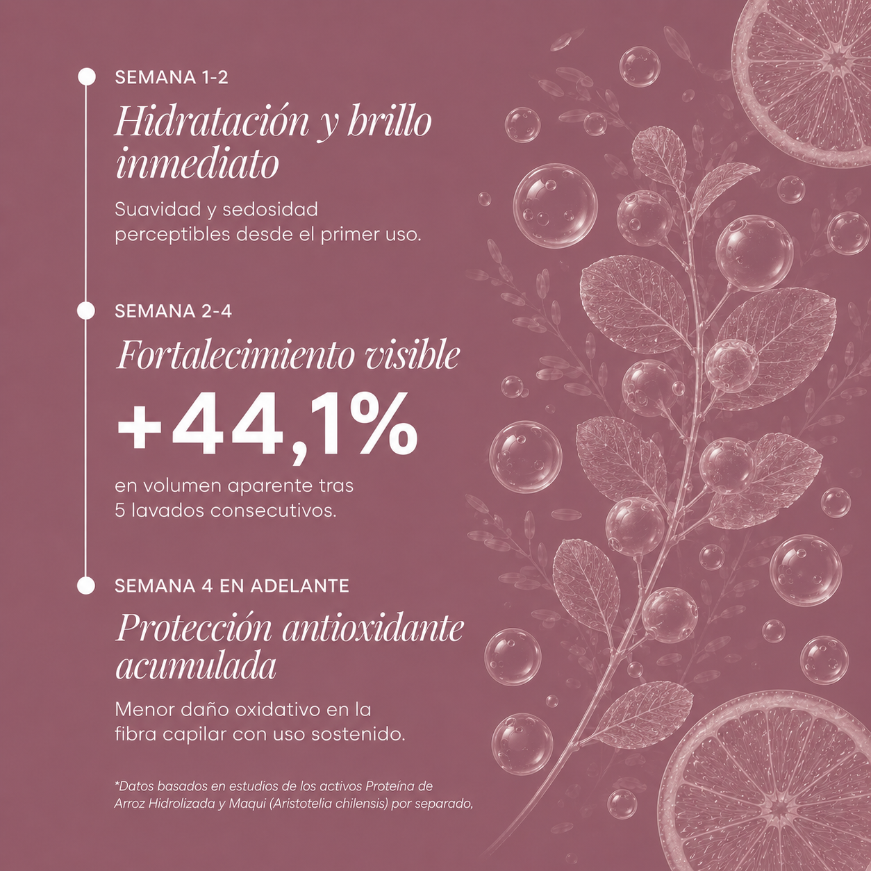 Shampoo Crecimiento Anti-quiebre Maqui + Vitamina C + Biotina + Panthenol